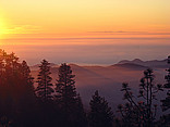Sequoia NP Fotografie Attraktion  von Kalifornien 