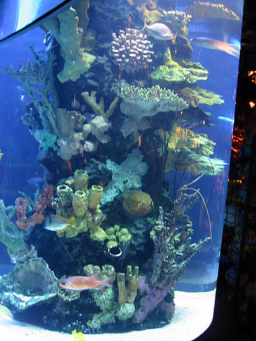 Foto Fishermans Pier 39 bis 45 - San Francisco