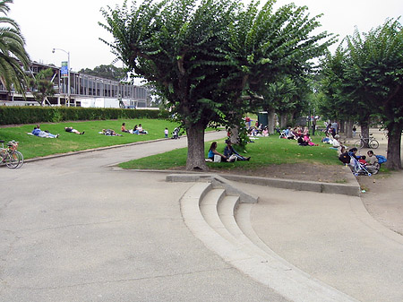 Fotos Golden Gate Park mit Botanischen Garten