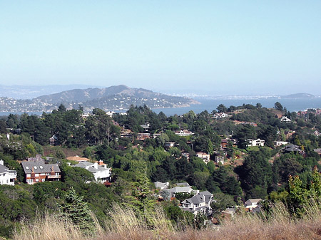 Muir