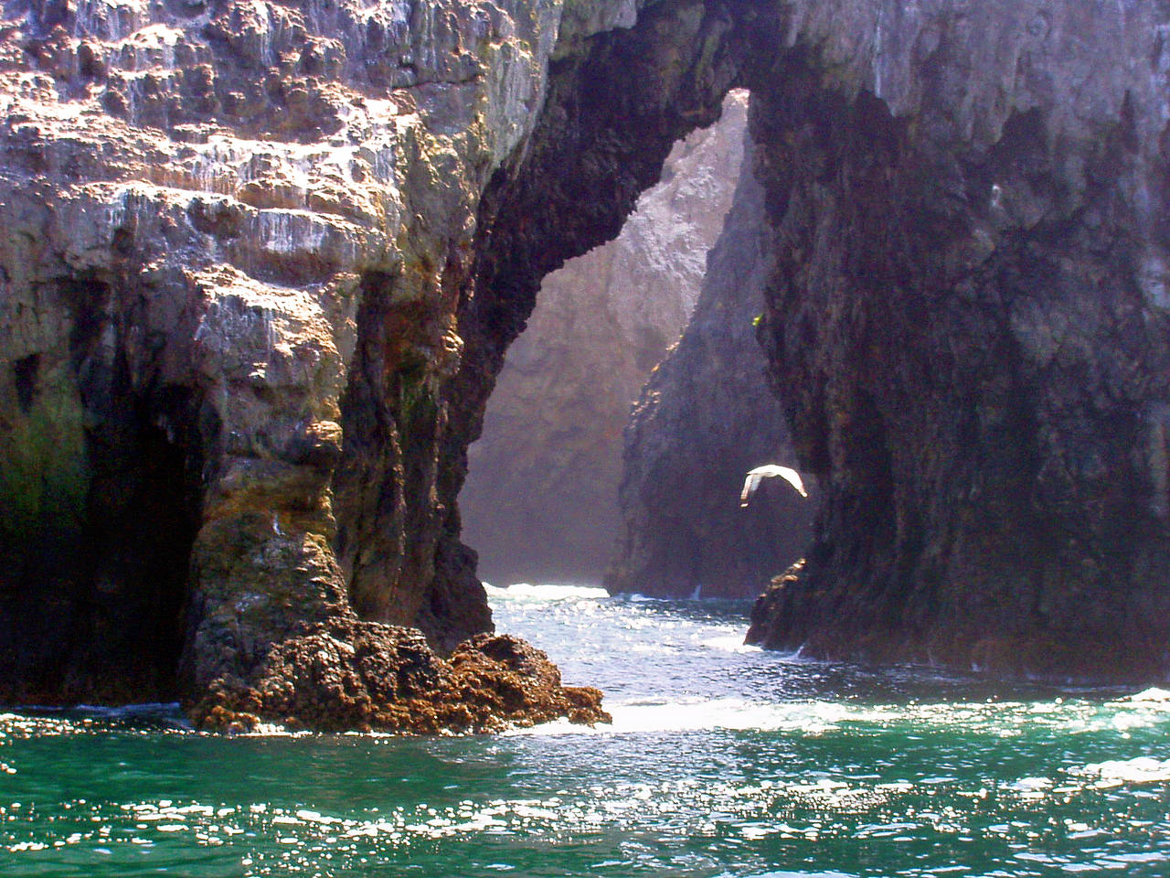 Channel Islands NP Fotos
